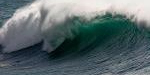 Rincon-surfline-MG0530e-150×100